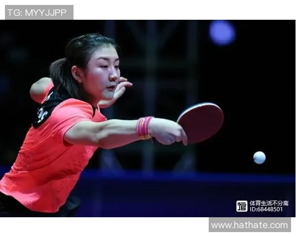 上海排球队快攻战术解析与实战应用探讨